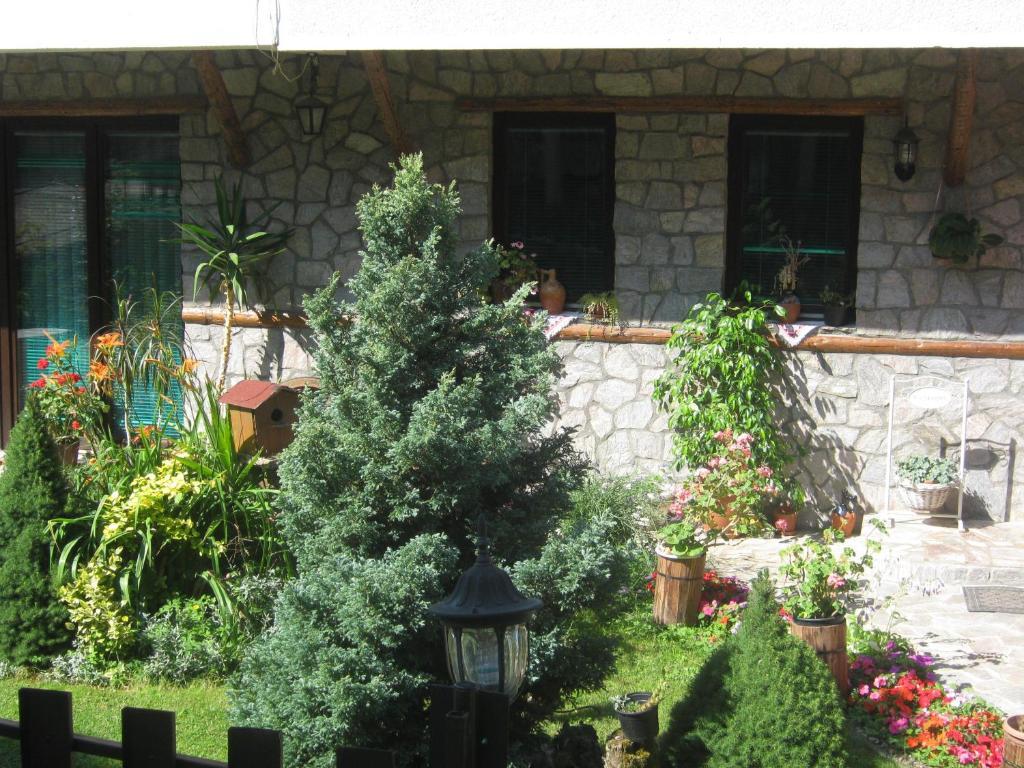 Risto'S Guest House Elshani Rum bild